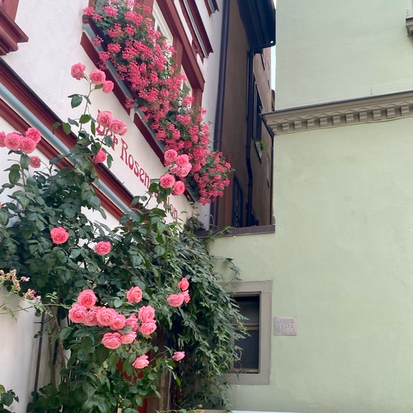 Meet your Posher, Isa - Picture 4 of 4